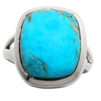 Sleeping Beauty Turquoise 925 Sterling Silver Ring Jewelry Size-10 SR01146