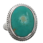 Sleeping Beauty Turquoise 925 Sterling Silver Ring Jewelry Size-21 SR01269