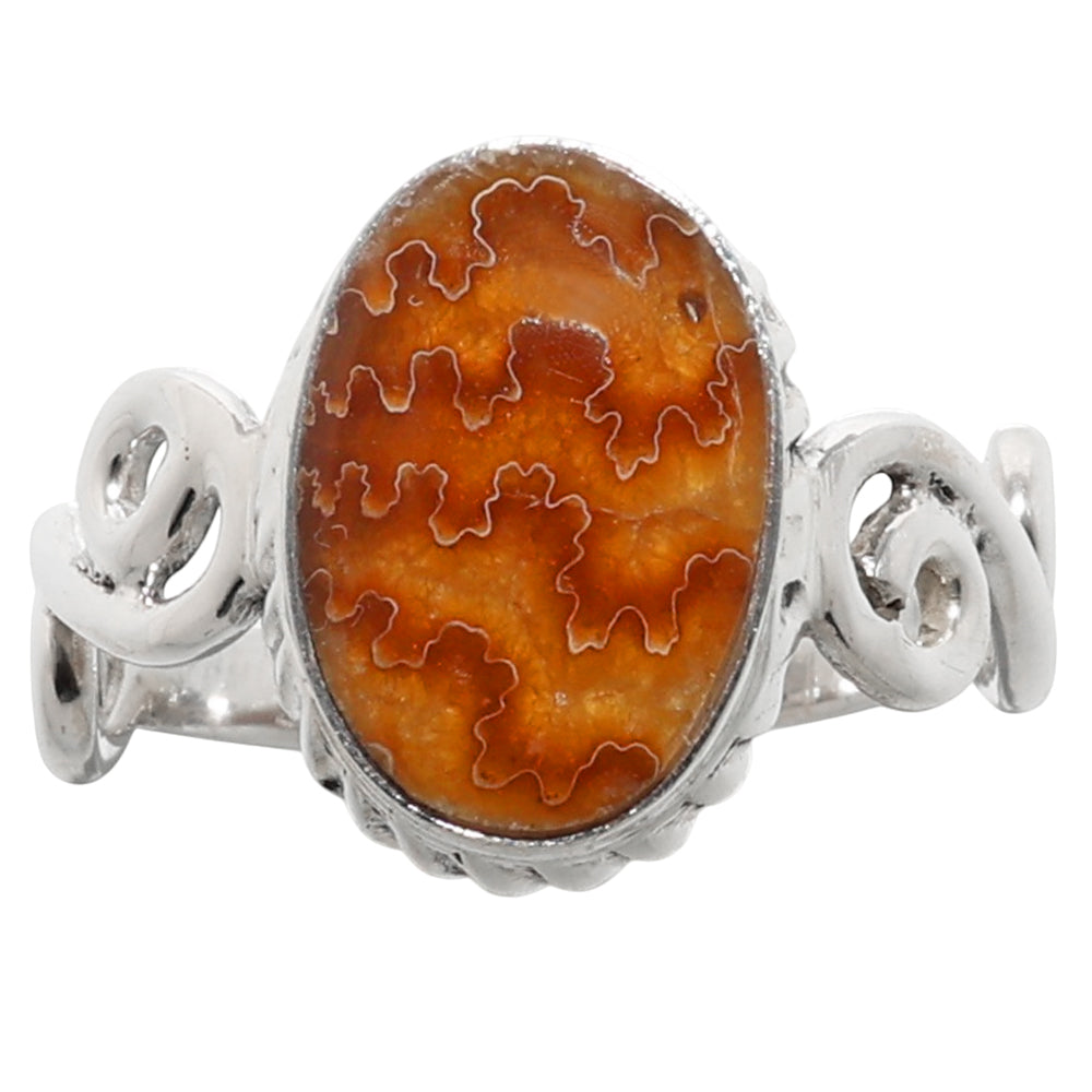 Sutured Ammonite 925 Sterling Silver Ring Jewelry Size-20 SR01277